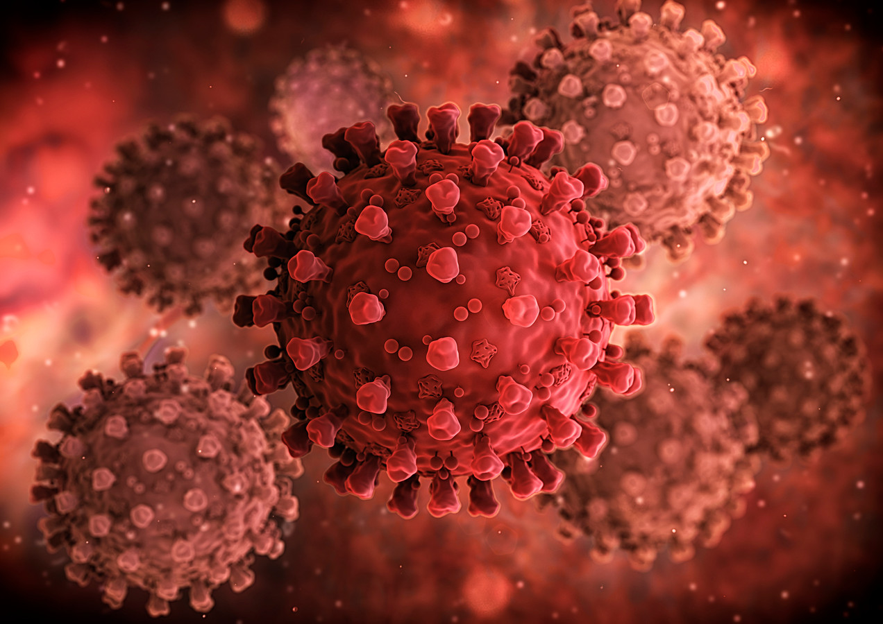 Corona virus